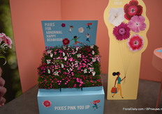 The new concept for their Carnations. The concept is still in development and is called Pixies.